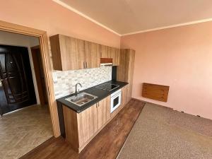 Prodej bytu 1+1, Děčín, Dvořákova, 40 m2