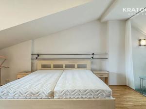 Pronájem bytu 2+1, Praha - Smíchov, Hořejší nábřeží, 117 m2