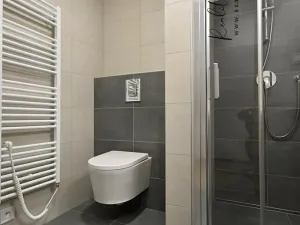 Pronájem bytu 1+kk, Olomouc, Frištenského, 32 m2