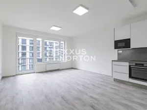 Pronájem bytu 2+kk, Praha - Vysočany, Stejnosměrná, 61 m2
