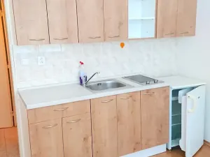 Pronájem bytu 1+kk, Brno, Mendlovo náměstí, 17 m2