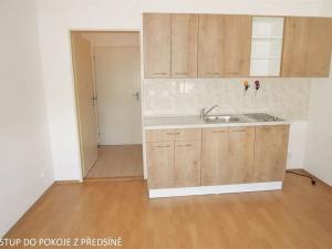 Pronájem bytu 1+kk, Brno, Mendlovo náměstí, 17 m2