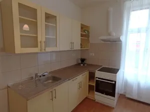 Pronájem bytu 1+1, České Budějovice - České Budějovice 5, Dobrovodská, 45 m2