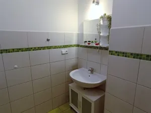 Pronájem bytu 1+1, České Budějovice - České Budějovice 5, Dobrovodská, 45 m2