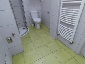 Pronájem bytu 1+1, České Budějovice - České Budějovice 5, Dobrovodská, 45 m2