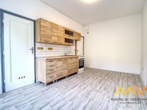 Pronájem bytu 1+1, Hradec Králové - Pražské Předměstí, Zamenhofova, 45 m2