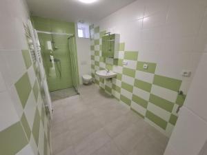 Pronájem bytu 1+1, Brno - Žabovřesky, Šmejkalova, 42 m2