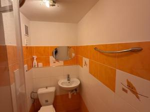 Pronájem bytu 1+1, Plzeň, Gerská, 39 m2