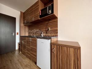 Pronájem bytu 1+kk, Brno, Křivánkovo náměstí, 26 m2