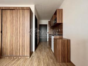 Pronájem bytu 1+kk, Brno, Křivánkovo náměstí, 26 m2