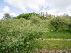 Prodej rodinného domu, Mnichovice, 364 m2