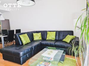 Pronájem bytu 2+kk, Plzeň, Šafaříkovy sady, 57 m2