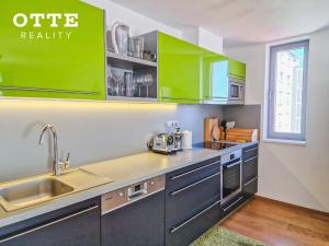 Pronájem bytu 2+kk, Plzeň, Šafaříkovy sady, 57 m2