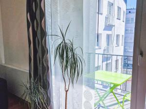 Pronájem bytu 2+kk, Plzeň, Šafaříkovy sady, 57 m2