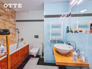 Pronájem bytu 2+kk, Plzeň, Šafaříkovy sady, 57 m2