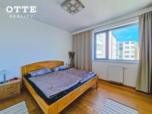 Pronájem bytu 2+kk, Plzeň, Šafaříkovy sady, 57 m2
