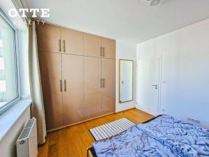 Pronájem bytu 2+kk, Plzeň, Šafaříkovy sady, 57 m2