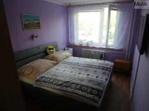 Prodej bytu 3+1, Most, Františka Malíka, 68 m2