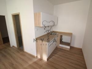 Pronájem bytu 1+1, České Budějovice - České Budějovice 3, Riegrova, 38 m2