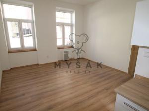 Pronájem bytu 1+1, České Budějovice - České Budějovice 3, Riegrova, 38 m2