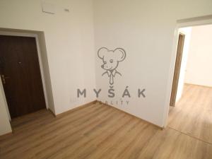 Pronájem bytu 1+1, České Budějovice - České Budějovice 3, Riegrova, 38 m2