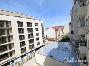 Pronájem bytu 2+1, Brno, Cejl, 61 m2