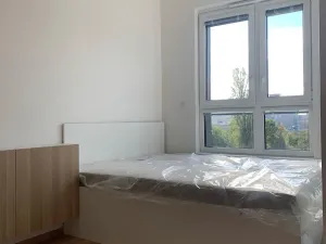 Pronájem bytu 1+kk, Praha - Žižkov, Olgy Havlové, 38 m2