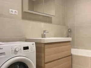 Pronájem bytu 1+kk, Praha - Žižkov, Olgy Havlové, 38 m2