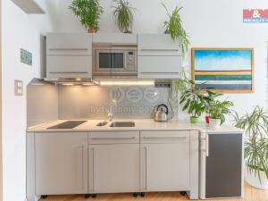 Pronájem bytu 1+kk, Praha - Žižkov, Čajkovského, 27 m2