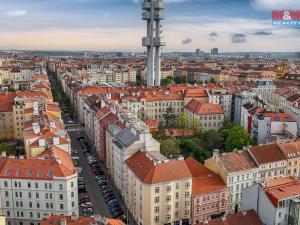 Pronájem bytu 1+kk, Praha - Žižkov, Čajkovského, 27 m2