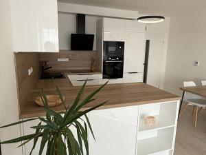 Pronájem bytu 3+kk, České Budějovice, Františka Jelena, 74 m2