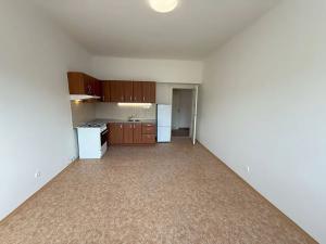Pronájem bytu 2+kk, Praha - Břevnov, Bělohorská, 60 m2