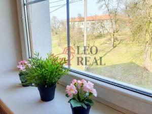 Pronájem bytu 3+kk, Bernartice nad Odrou, 53 m2