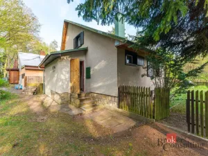 Prodej chaty, Běleč nad Orlicí, 60 m2