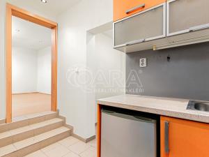 Prodej bytu 1+kk, Praha - Žižkov, Viklefova, 35 m2