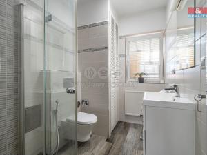Prodej rodinného domu, Veltrusy, U Stadionu, 180 m2