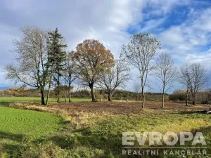 Prodej pozemku pro bydlení, Golčův Jeníkov, 1500 m2