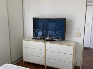 Pronájem bytu 2+kk, Praha - Žižkov, Květinková, 45 m2