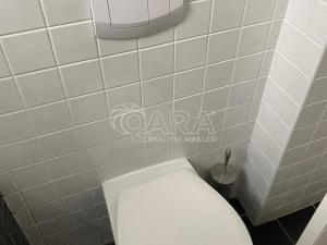 Pronájem bytu 2+kk, Praha - Žižkov, Květinková, 45 m2
