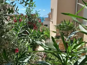 Prodej bytu 3+kk, Mandre, Chorvatsko, 50 m2