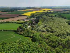 Prodej pozemku pro bydlení, Kouřim, 795 m2