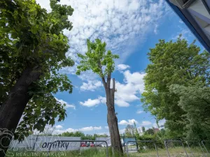 Pronájem kanceláře, Brno, Bohunická, 240 m2