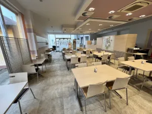 Prodej obchodního prostoru, Dolní Benešov, Nádražní, 420 m2