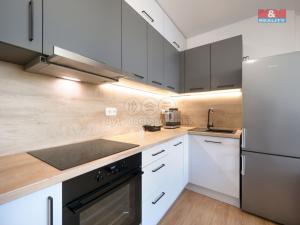 Prodej bytu 2+kk, Praha - Holešovice, V závětří, 56 m2
