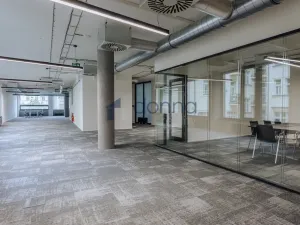 Pronájem kanceláře, Praha - Nové Město, Václavské náměstí, 2141 m2