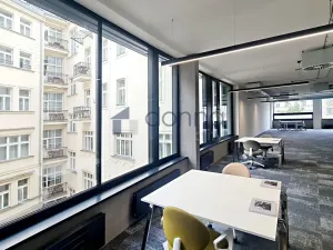 Pronájem kanceláře, Praha - Nové Město, Václavské náměstí, 2141 m2