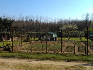 Prodej zahrady, Hodonín, 585 m2