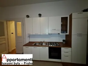 Prodej atypického bytu, Praha - Staré Město, Masná, 176 m2