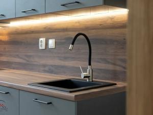 Pronájem bytu 2+kk, Ostrava, Křišťanova, 54 m2