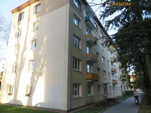 Pronájem bytu 1+1, Olomouc, Foerstrova, 41 m2